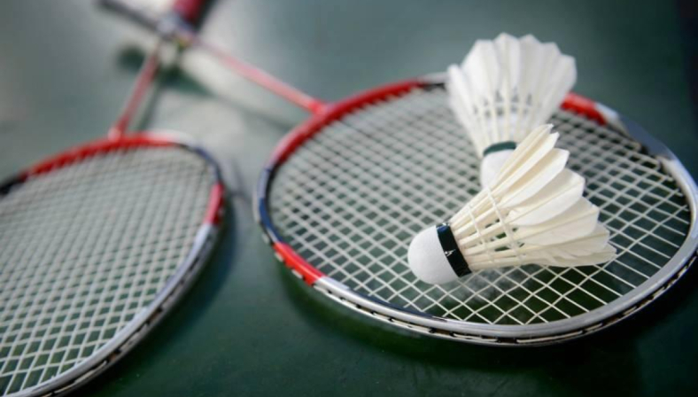 Bavme se s Badmintonem 2