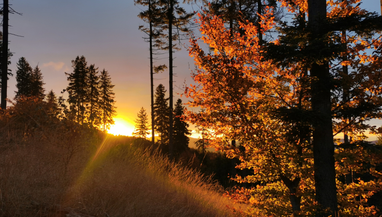 Světlo v životě - adventní přespávačka Pátků